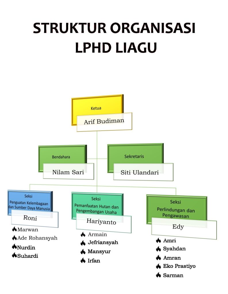 struktur organisasi lphd liagu
