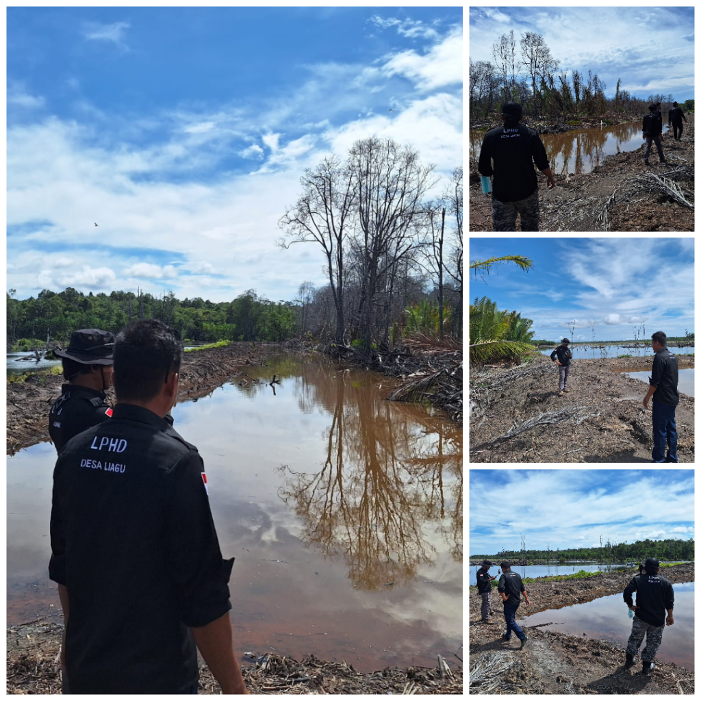 patroli hutan desa liagu
